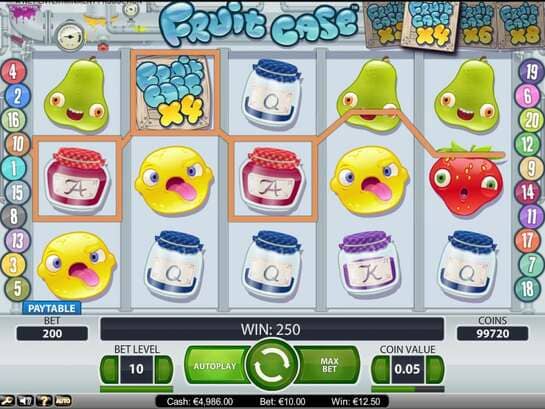 Fruit Case Fruit Case