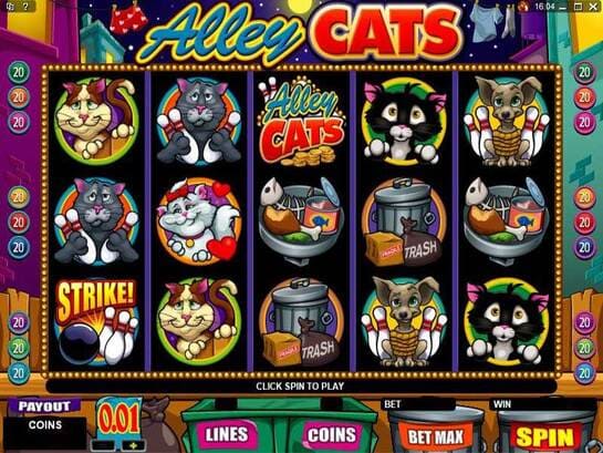 Alley Cats Alley Cats
