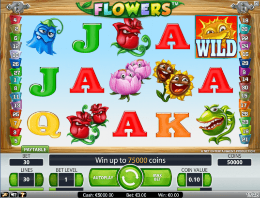 Flowers Code Flowers Code